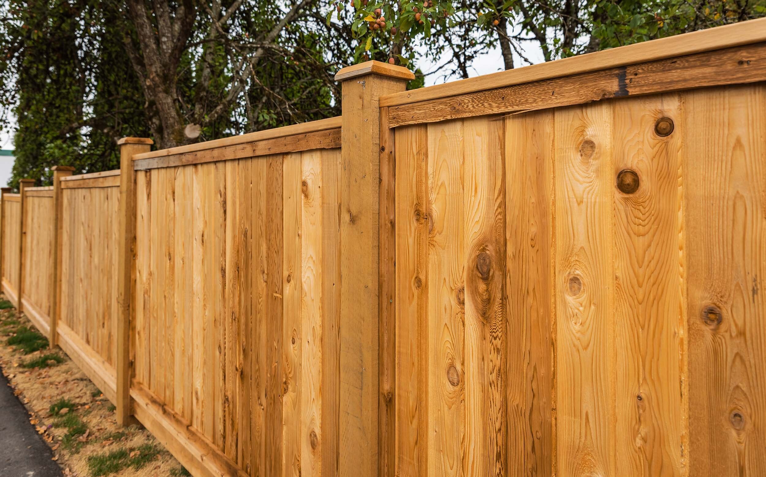 Cedar vs. Pine: Which Is Better for Fences, Decking, and Other Projects?